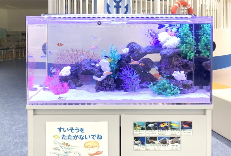 こべっこあそびひろば・六甲アイランド様　水槽リース事例 水槽画像３