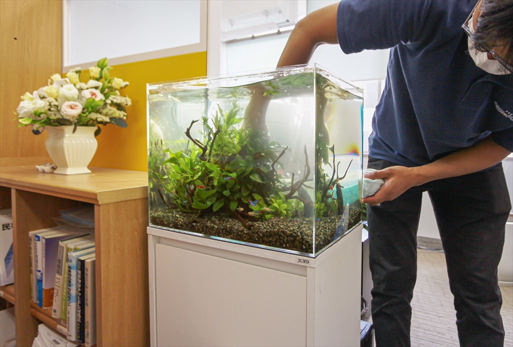 法律事務所　45cm淡水魚水槽　メンテナンス画像