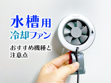 【2026年】冷却ファンで水槽の水温を下げる！おすすめ商品ベスト5！注意点も