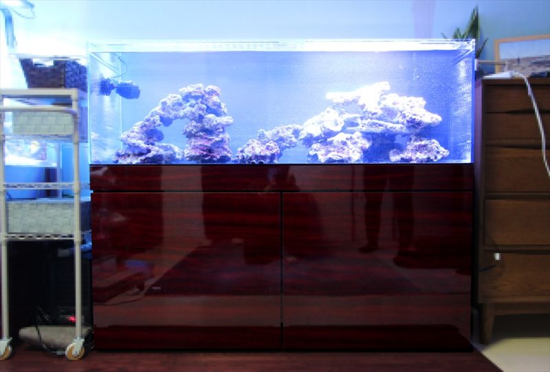 個人宅のリビング 海水魚水槽2台 水槽一式販売・設置事例 水槽画像3
