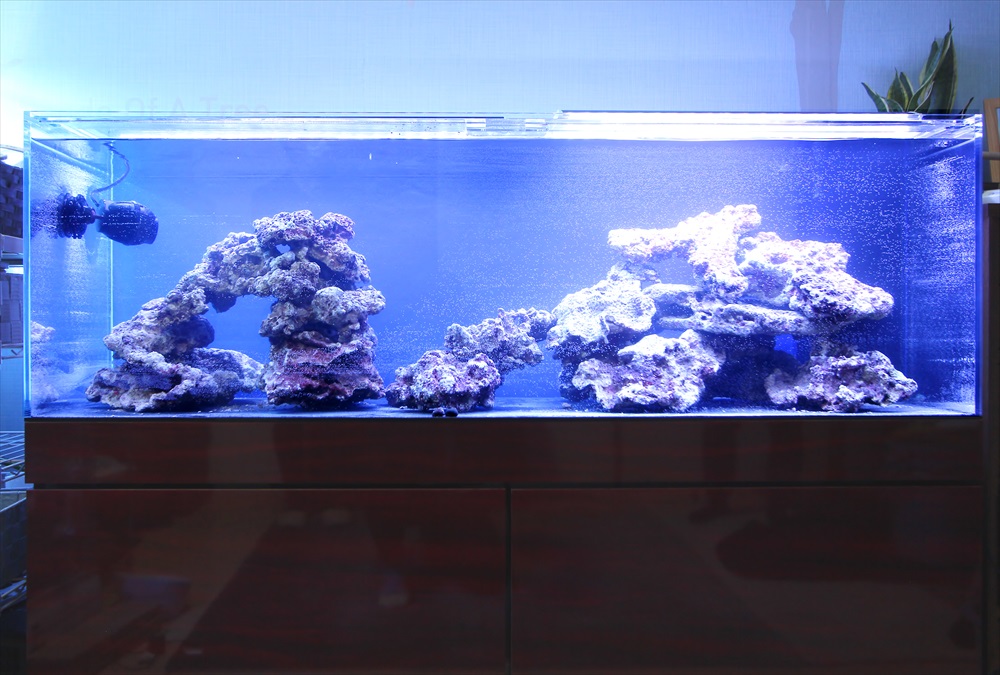 個人宅　海水魚水槽　レイアウト画像
