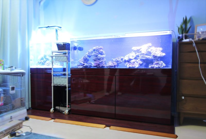 個人宅のリビング 海水魚水槽2台 水槽一式販売・設置事例 水槽画像1