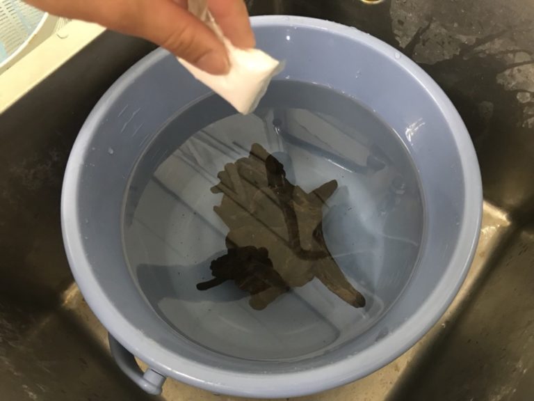 水を入れた青いバケツに白い粉末を投入する手元