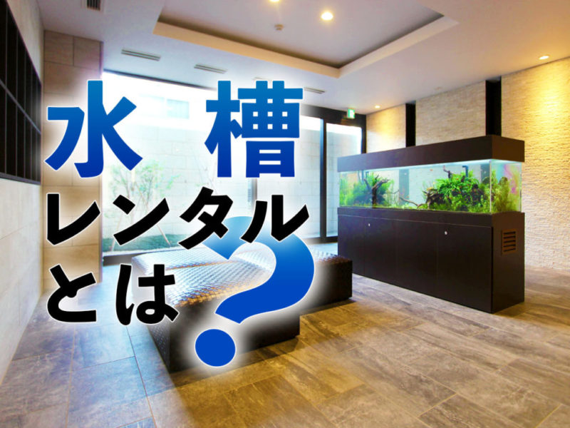 水槽レンタルとは?の文字と室内に置かれた大型水槽の見出し画像
