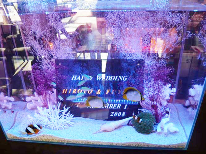 結婚祝いのメッセージボードと海水魚が入った水槽