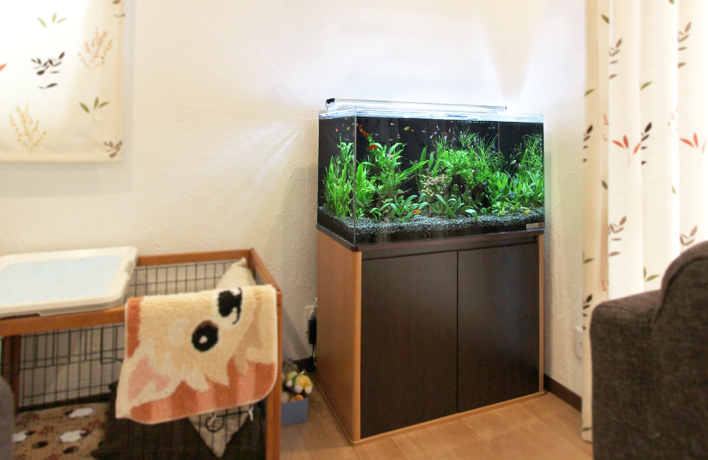 リビングに設置された水草水槽と黒い水槽台の設置風景