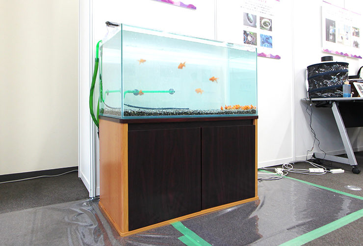 木目調の水槽台に設置された金魚が泳ぐ大型水槽
