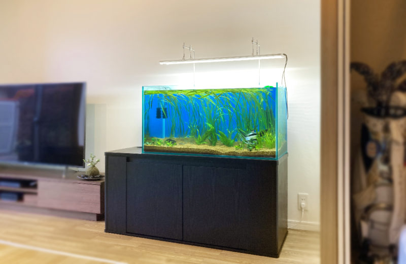 個人宅 90cm淡水魚水槽 販売・引っ越し事例 水槽画像4