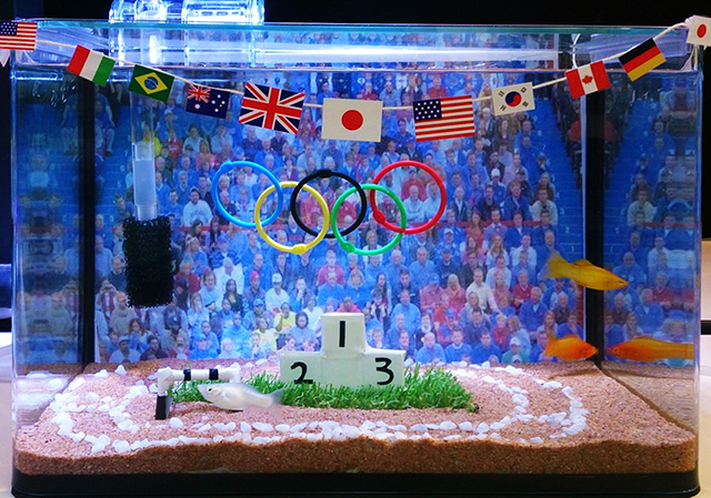 五輪旗と表彰台を設置したスポーツ大会風の水槽レイアウト