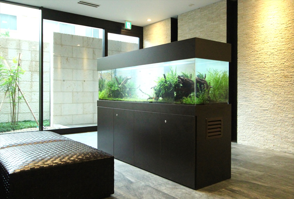 練馬区　マンションのエントランス　大型淡水魚水槽　リース事例　その後のサムネイル画像