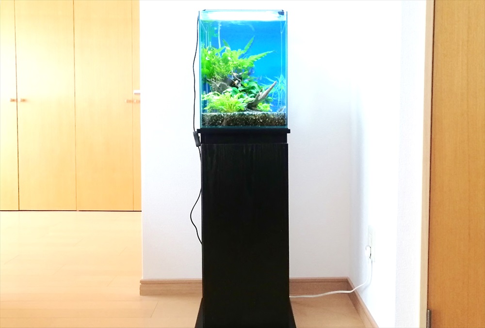 個人宅のリビング　30cm淡水魚水槽　正面画像