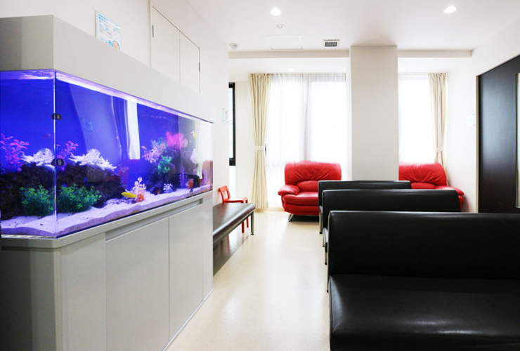 病院・クリニック・歯科医院に熱帯魚水槽を設置する理由とは?