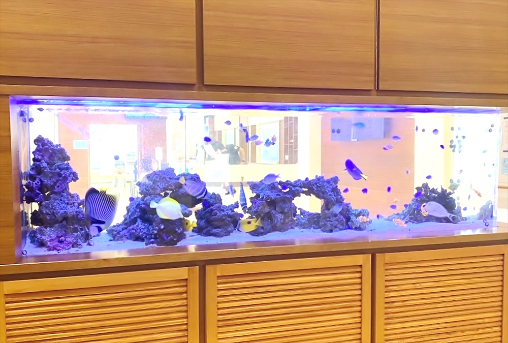 整形外科クリニック　壁埋め込み型　海水魚水槽　斜め画像