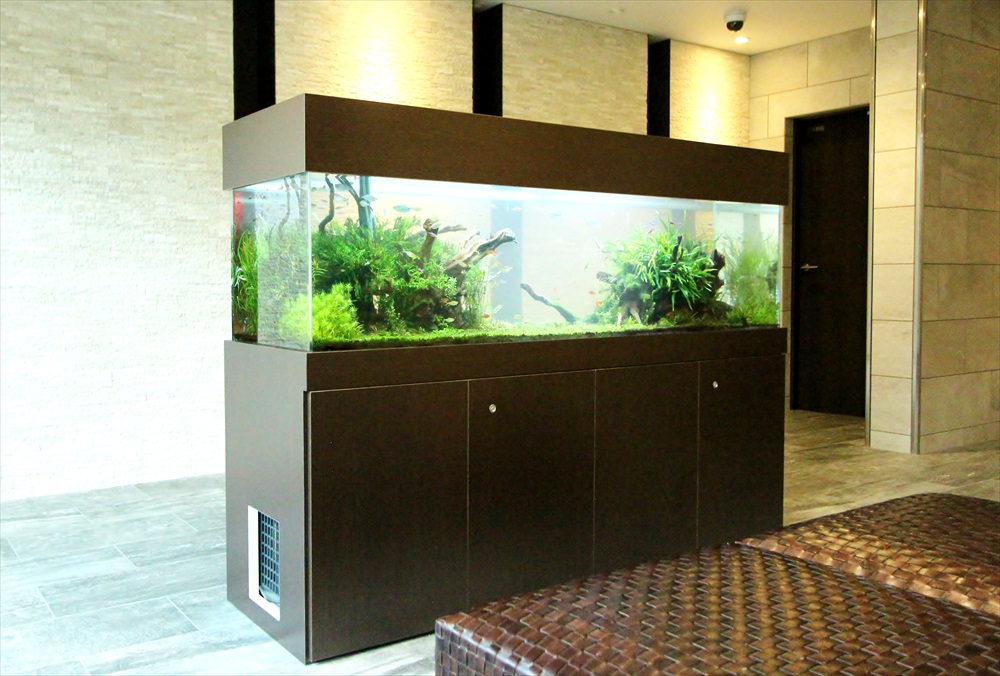 マンションのエントランス　大型淡水魚水槽　斜め画像