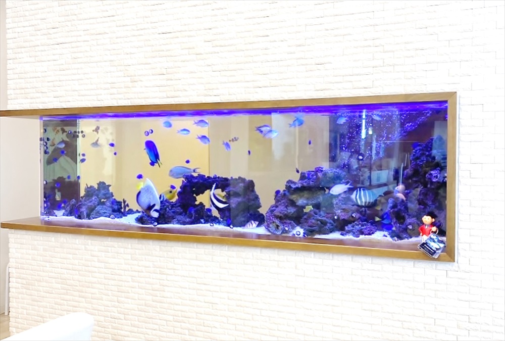 整形外科クリニック　220cm海水魚水槽　販売・メンテナンス事例　その後のサムネイル画像