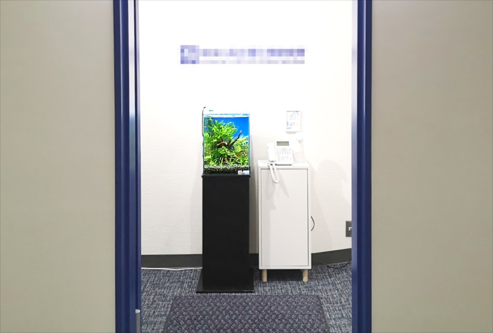 オフィスの受付に設置された小型水草水槽と電話機