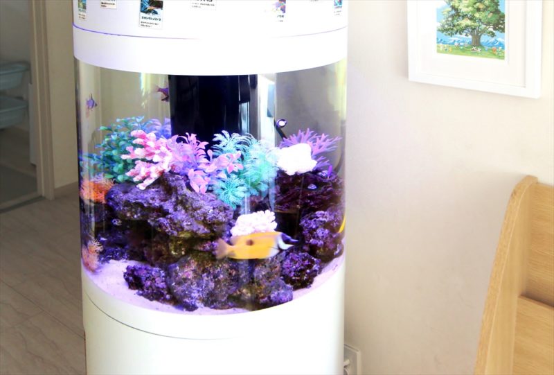 皮膚科クリニックの待合室 円柱海水魚水槽 レンタル事例 その後 水槽画像3
