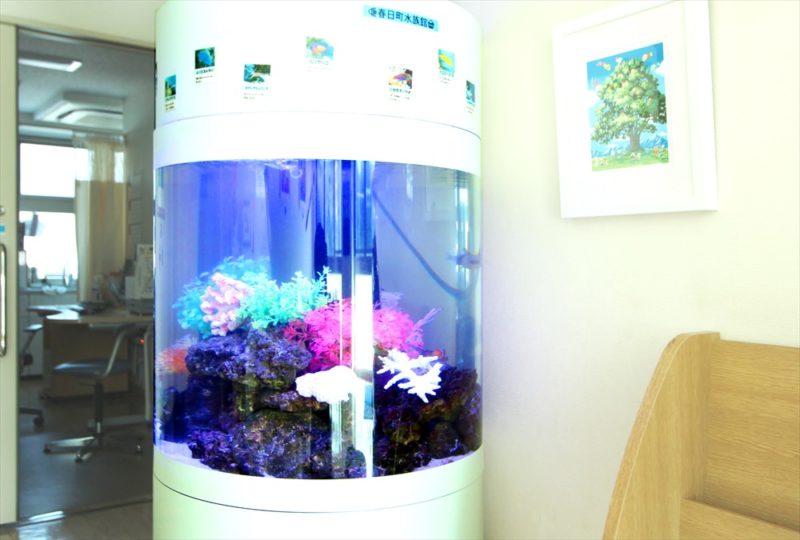 皮膚科クリニックの待合室 円柱海水魚水槽 レンタル事例 その後 水槽画像1