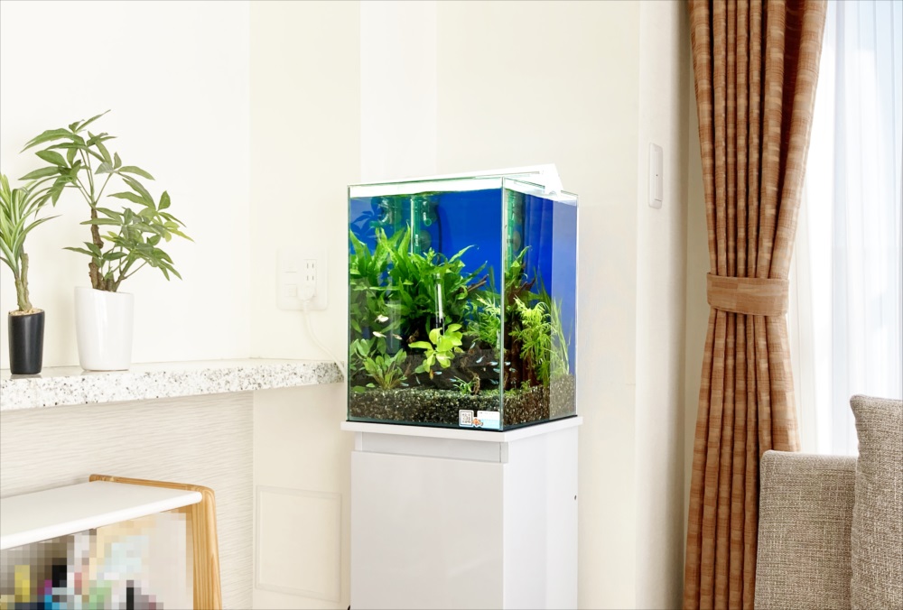 リビングに置かれた水草が茂る小型水槽と観葉植物