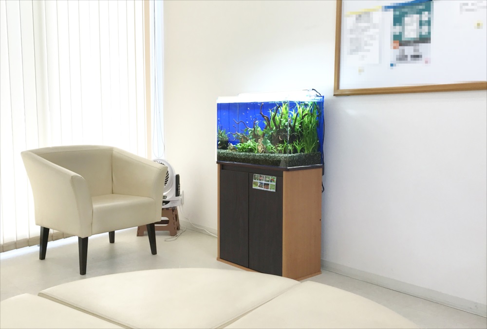 白い部屋に置かれた水草水槽とベージュのソファ