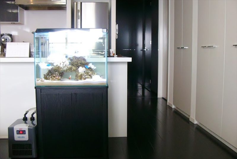 六本木 個人宅マンション 60cm海水魚水槽 設置事例 水槽画像2