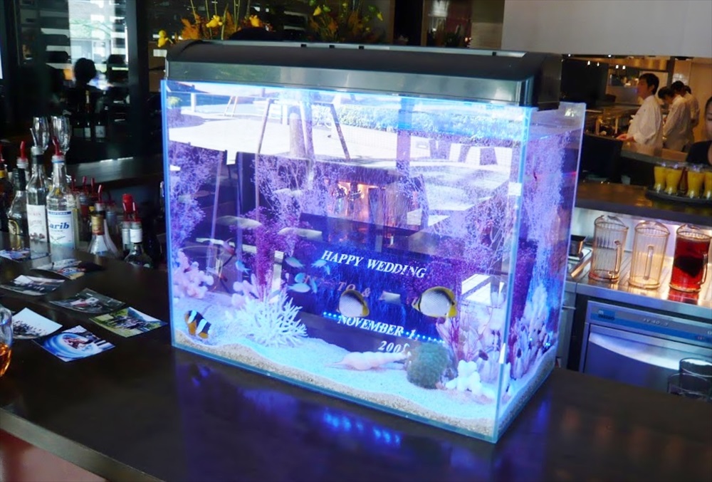 結婚祝いの文字が入った海水魚水槽のカウンター設置風景