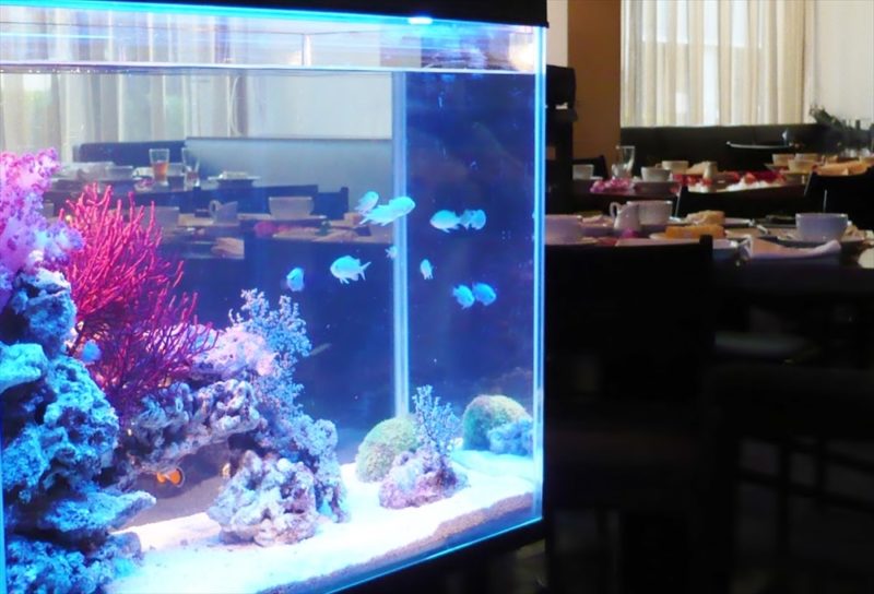アクアリウムウェディング! 結婚式 水槽設置事例 水槽画像1