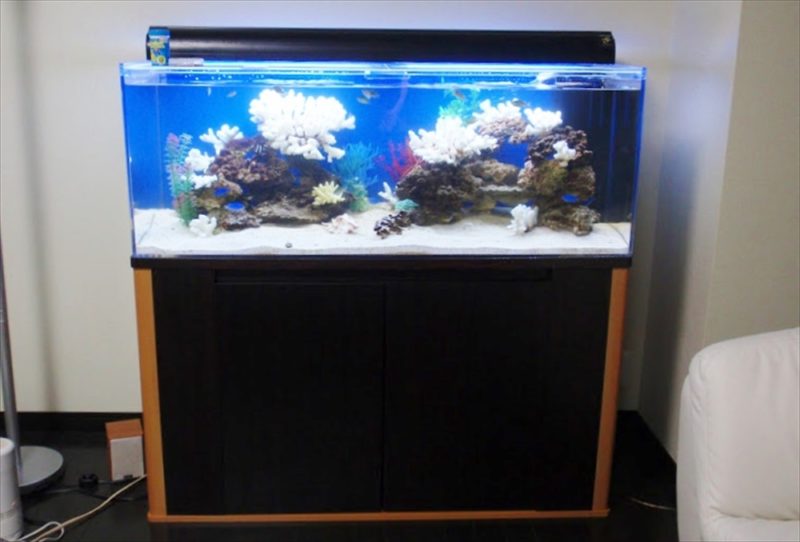 品川区 タワーマンションのリビング 120cm海水魚水槽 設置事例 水槽画像2