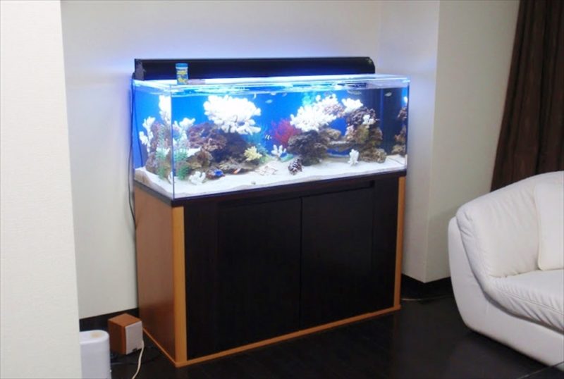 品川区 タワーマンションのリビング 120cm海水魚水槽 設置事例 水槽画像1