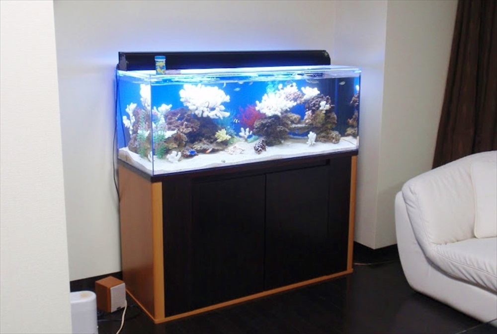品川区 タワーマンションのリビング 120cm海水魚水槽 設置事例のサムネイル画像