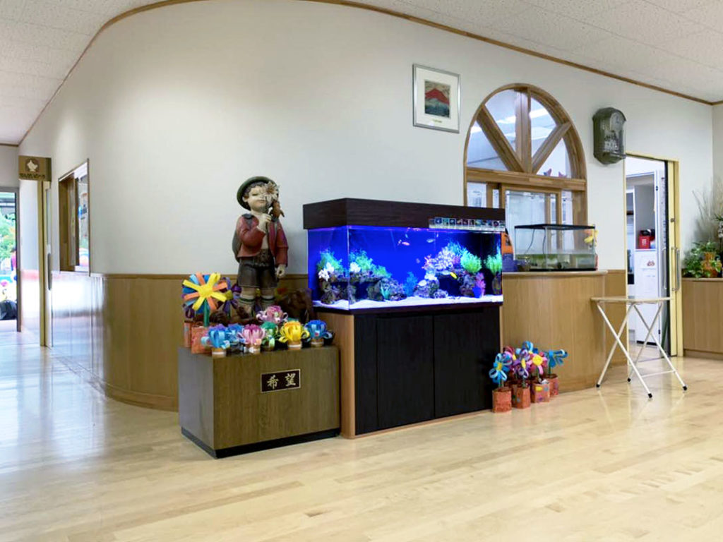 幼稚園・保育園のアクアリウム事例22選!子供の興味を育てる明るい熱帯魚水槽のサムネイル画像