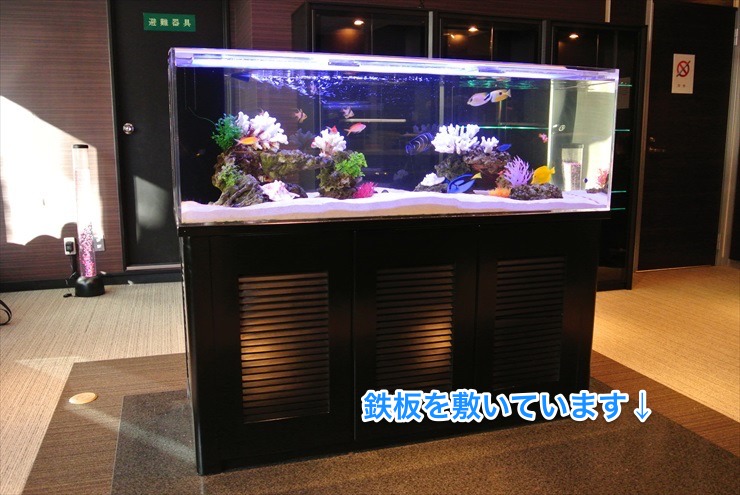 鉄板を敷いた床に設置された海水魚水槽と黒い水槽台