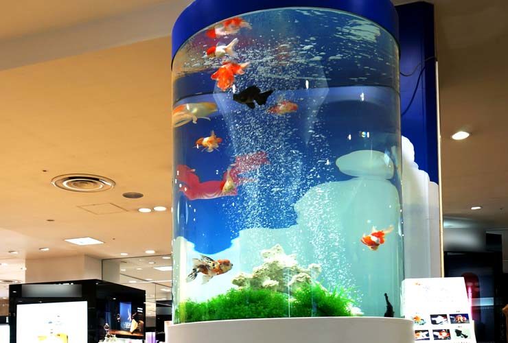 金魚が泳ぐ円柱型の大型水槽と気泡の柱