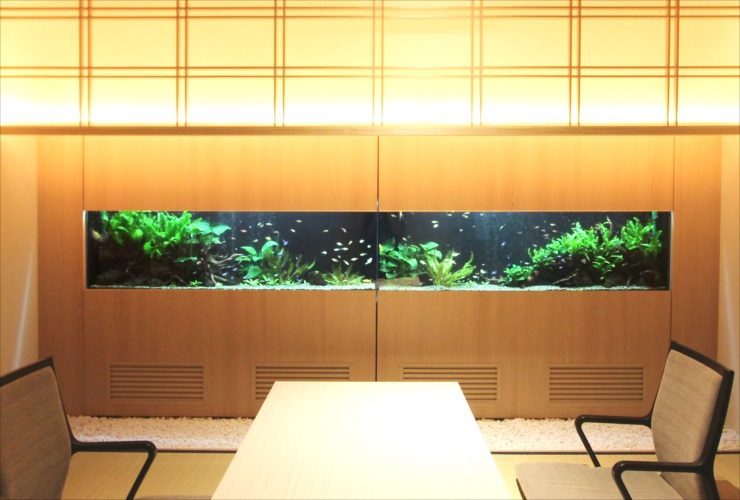 和室の壁面に埋め込まれた大型の淡水魚水槽と水草