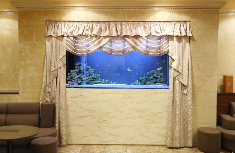 飲食店 200cm大型海水魚水槽 販売・メンテナンス事例 その後 水槽画像2