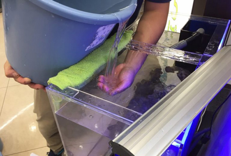 バケツから水槽へ手で受けながら注水する様子