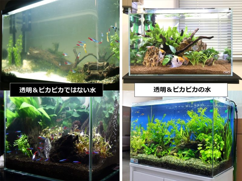 透明な水とそうでない水の水槽を比較した画像