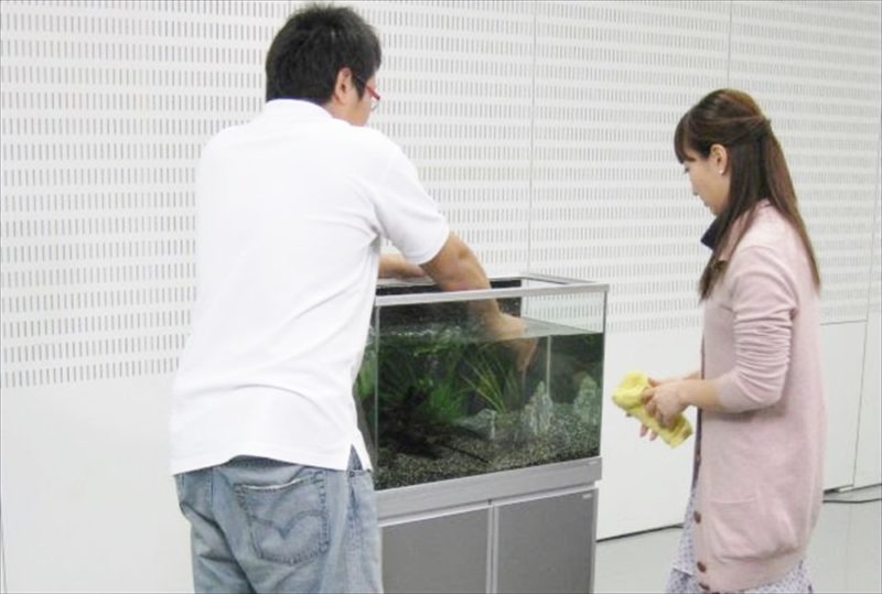 BS朝日『水槽の楽園』 60cm淡水魚水槽設置 メンテナンス講義 水槽画像4
