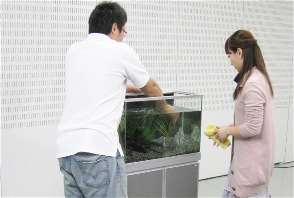水槽のメンテナンスを行う男女のスタッフ