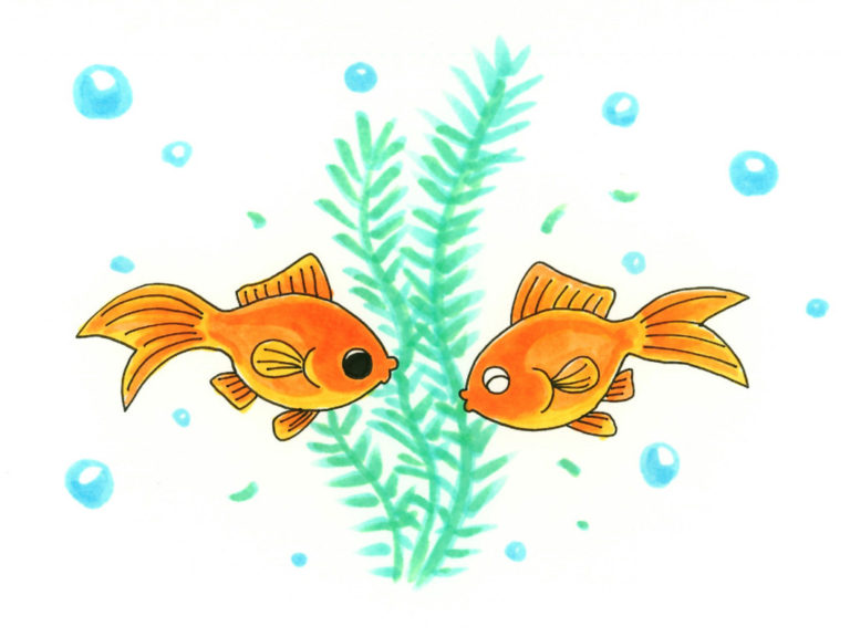 水草の前で向かい合う2匹の金魚と泡のイラスト