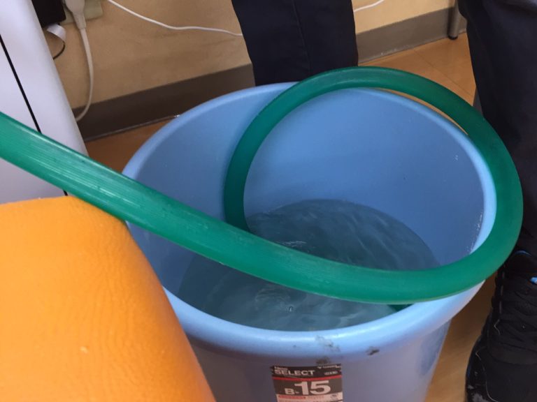 エアポンプを使った塩水浴のエアレーションの様子