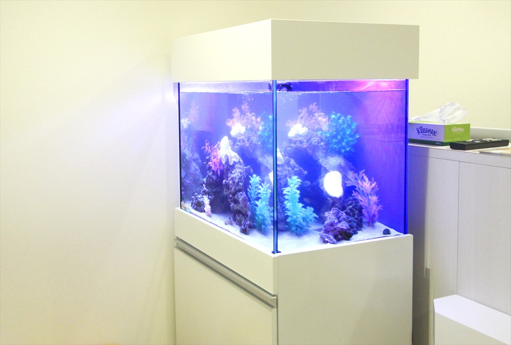 診療所の待合室　60cm海水魚水槽　側面画像