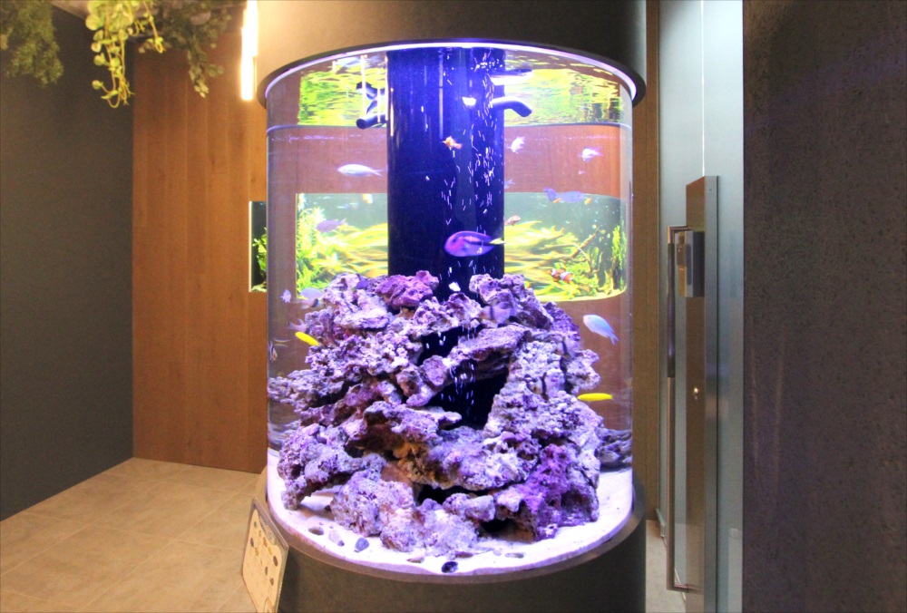 岩組と海水魚が泳ぐ円柱型の大型水槽