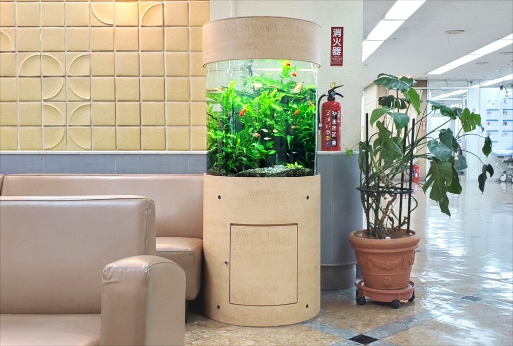 待合室に設置された円柱型水槽と観葉植物の鉢植え