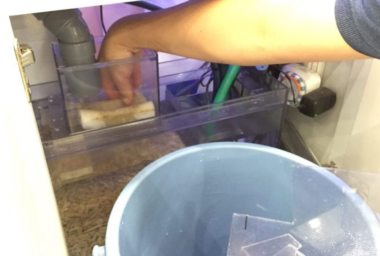 水槽台内のろ過槽からウールマットを取り出す手元