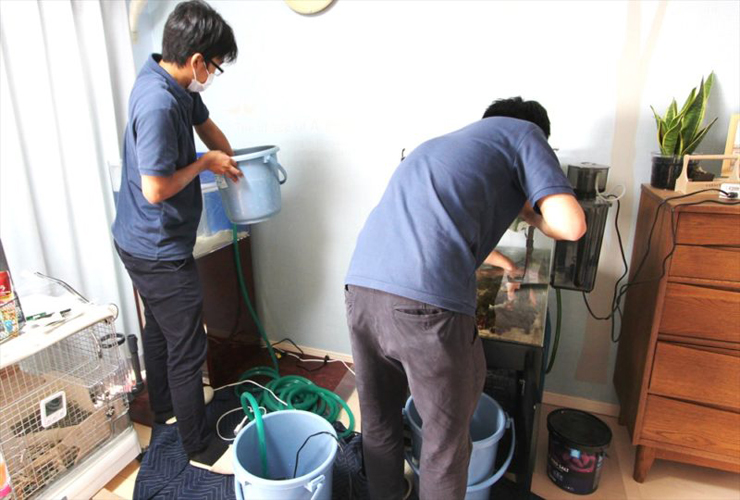 バケツとホースを使い室内で水槽掃除を行う2人の作業員