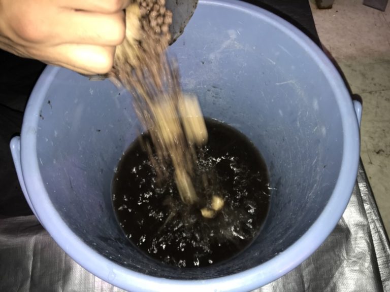 青いバケツの中の黒い水に底砂を投入する手元