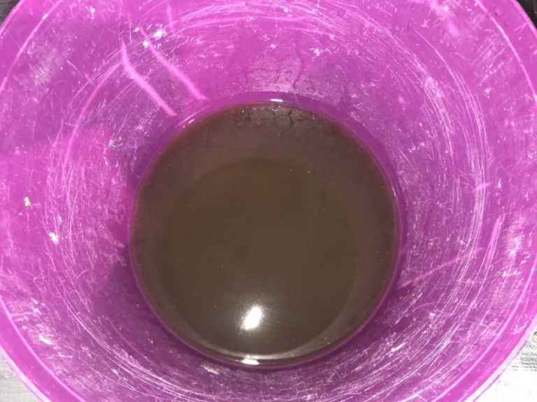 紫色のバケツに溜まった黒く濁った飼育水の写真