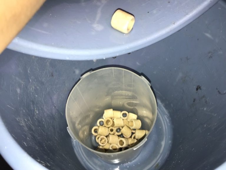 バケツ内のプラスチック容器に入れたリングろ材