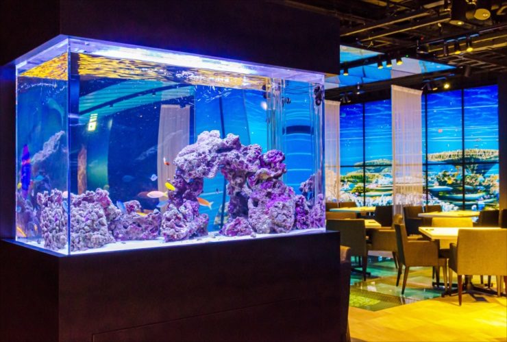 日本料理「魚月」様 90cm海水魚水槽 リース・メンテナンス